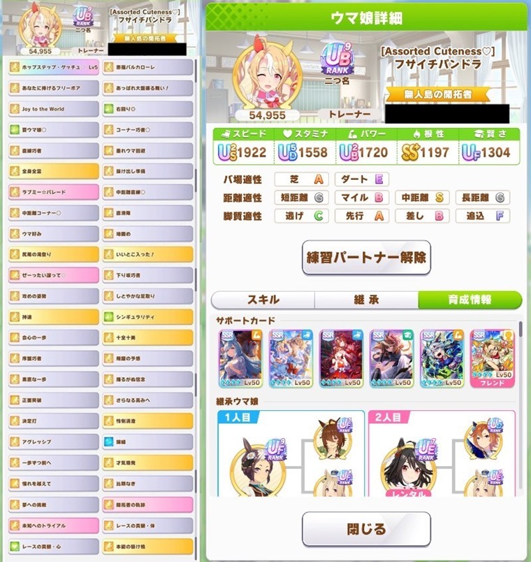 フサイチパンドラについて