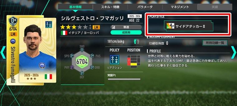 プレイスタイルⅡ