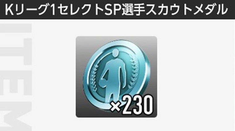 ハニバに向けての準備