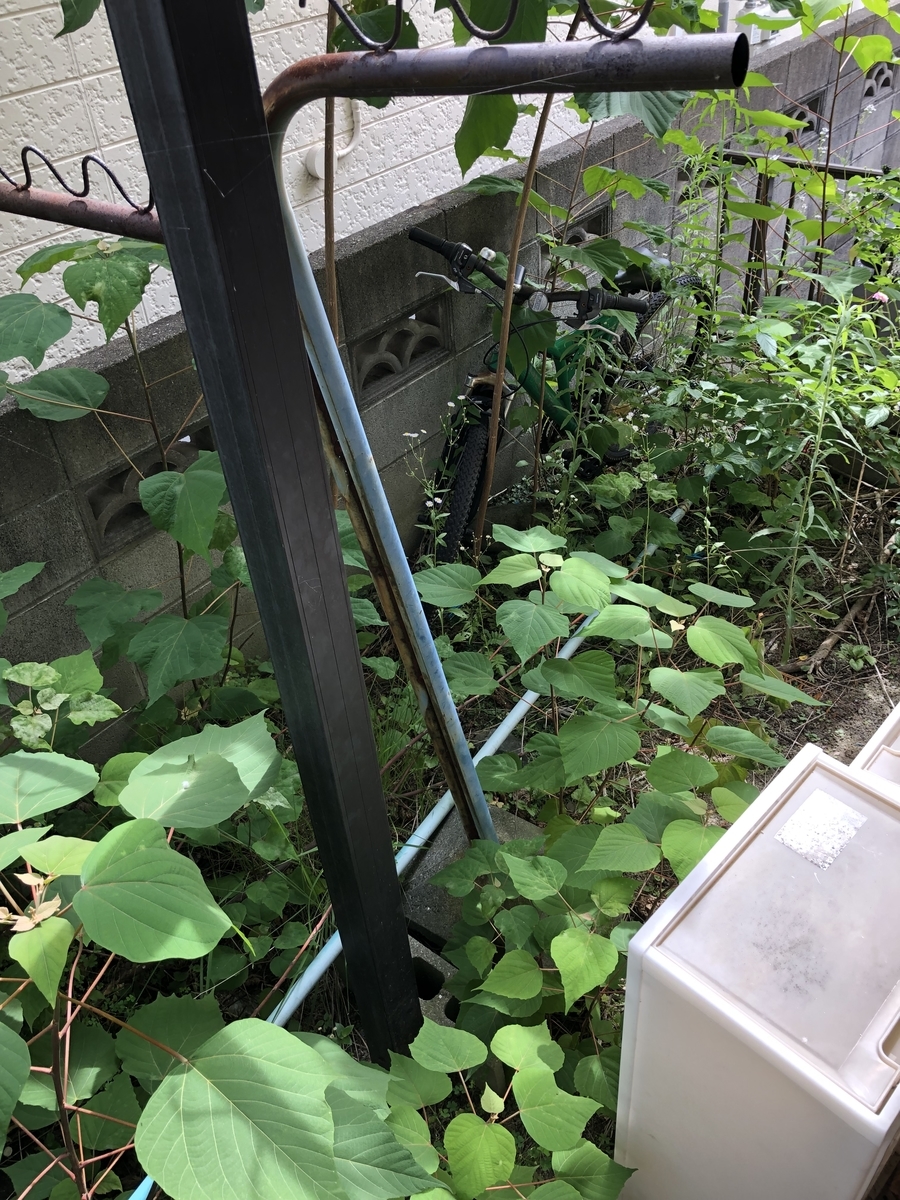 f:id:ororoxx:20190712190701j:plain f:id:ororoxx:20190712190701j:plain