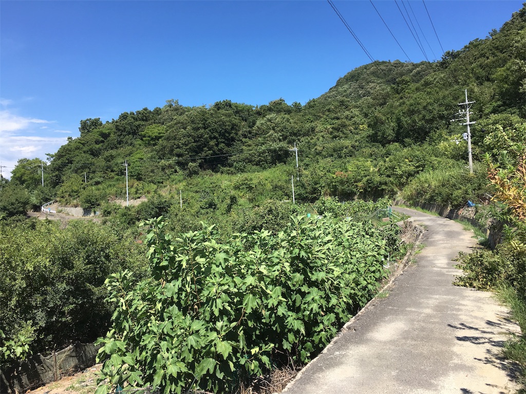 f:id:orphe1108:20190301235808j:image f:id:orphe1108:20190301235808j:image