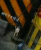 f:id:oruco:20050829012711j:image f:id:oruco:20050829012711j:image