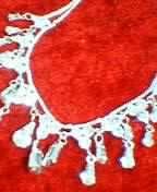 f:id:oruco:20051110225004j:image
