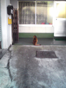 f:id:oruco:20081213232621j:image