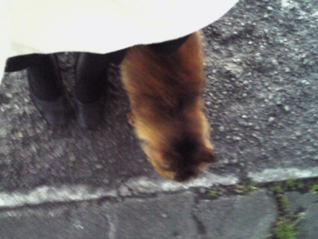 f:id:oruco:20081213232645j:image