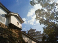 f:id:oruco:20100201205417j:image f:id:oruco:20100201205417j:image
