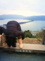 f:id:oruco:20100201205433j:image f:id:oruco:20100201205433j:image