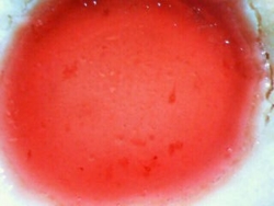 f:id:oruco:20100303210541j:image