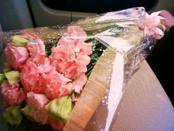 f:id:oruco:20100420204547j:image