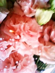f:id:oruco:20100420204549j:image