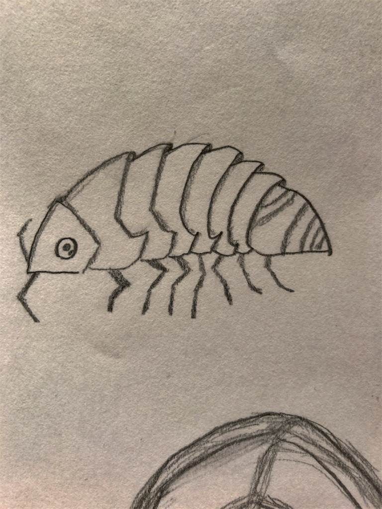 だんごむし その2 おりょ工房