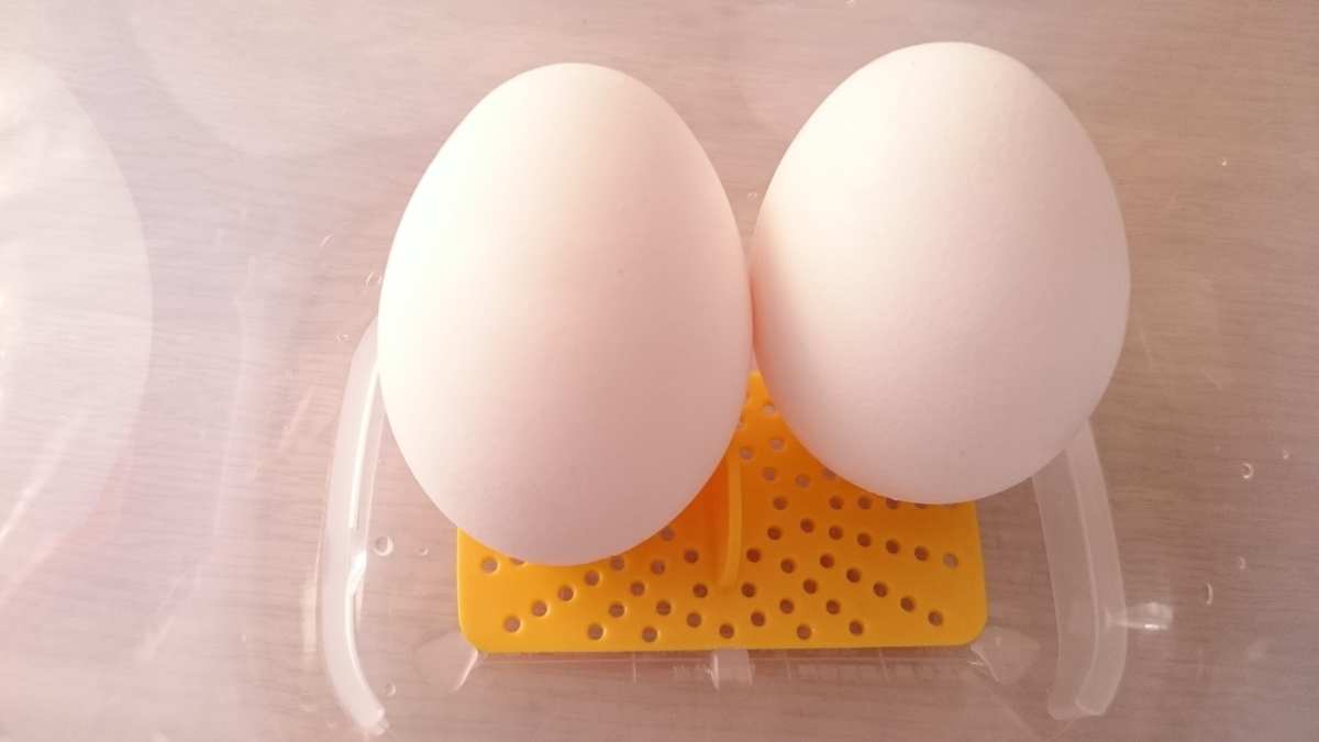 f:id:oryouri05:20190519114607j:plain f:id:oryouri05:20190519114607j:plain