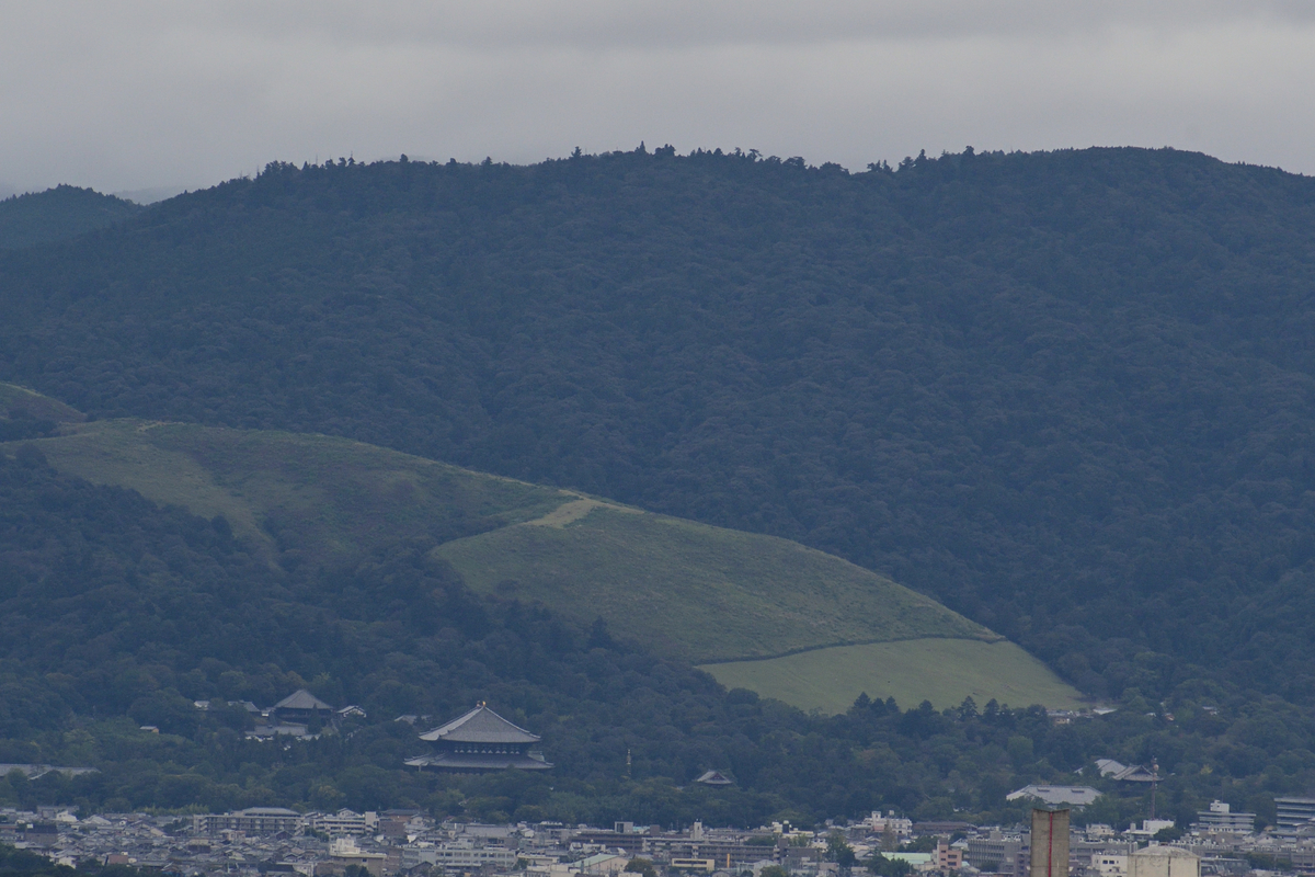f:id:oryuji:20191014051534j:plain