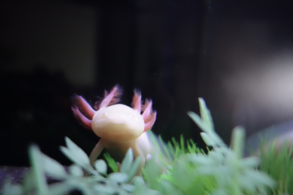 f:id:orz-min:20190208232329j:plain f:id:orz-min:20190208232329j:plain