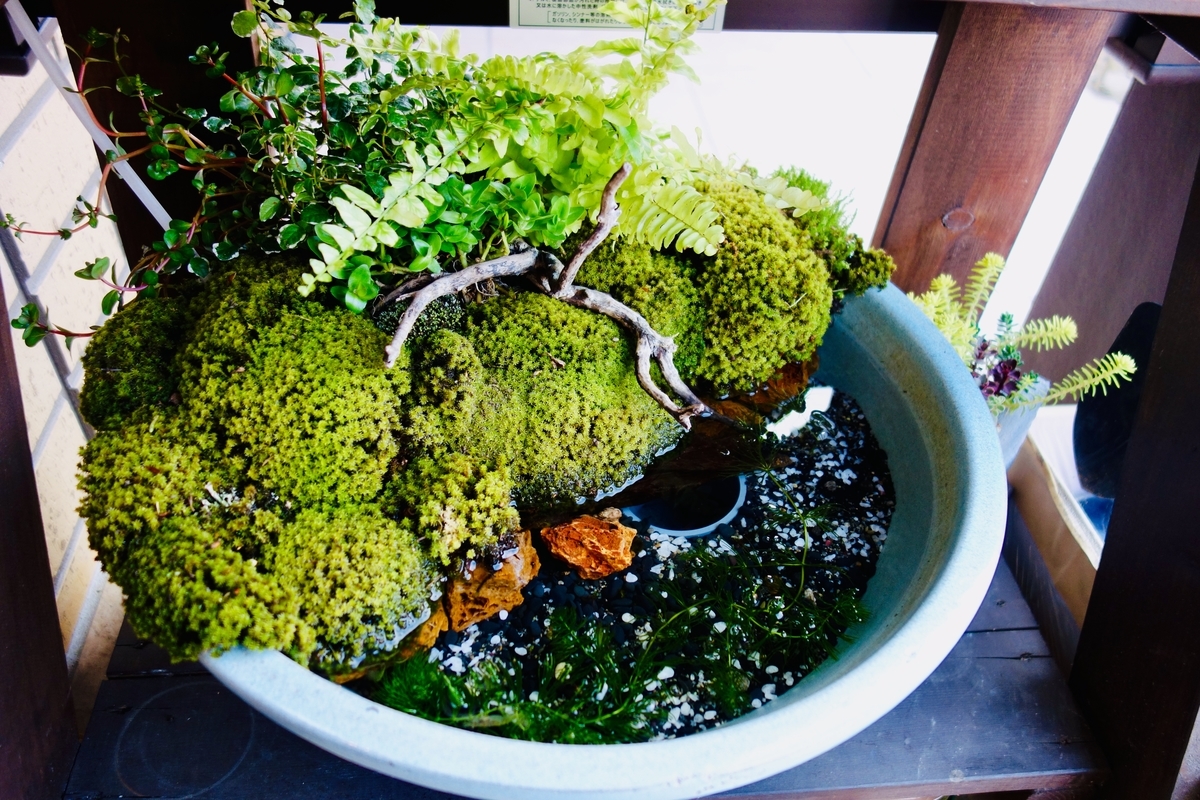 f:id:orz-min:20190522003229j:plain f:id:orz-min:20190522003229j:plain