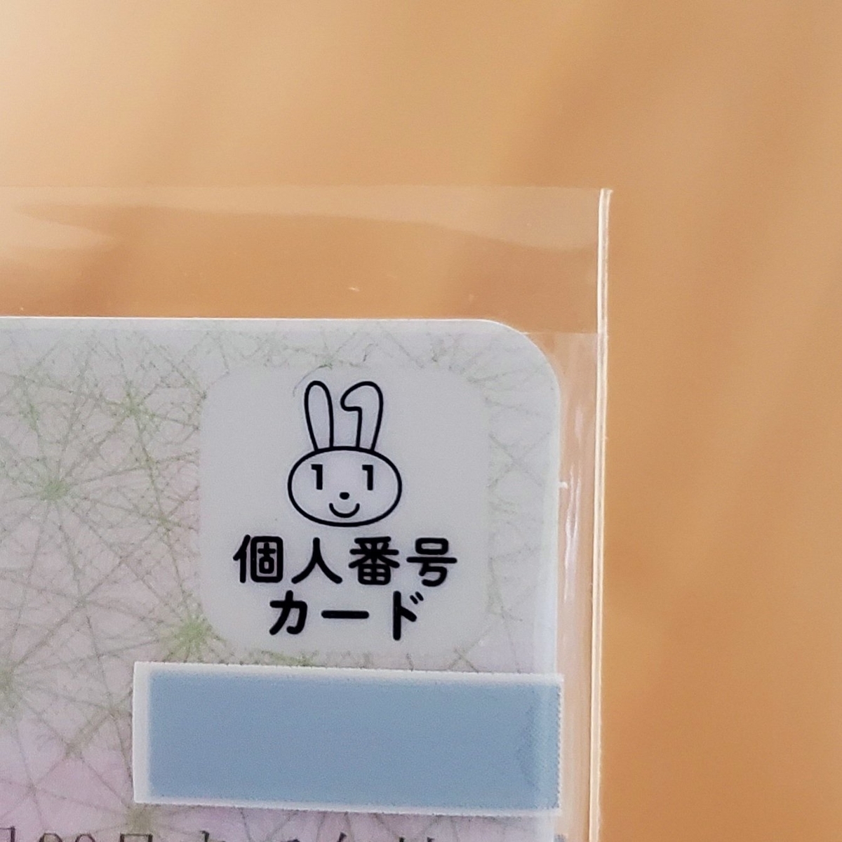 f:id:osa030:20201105101038j:plain