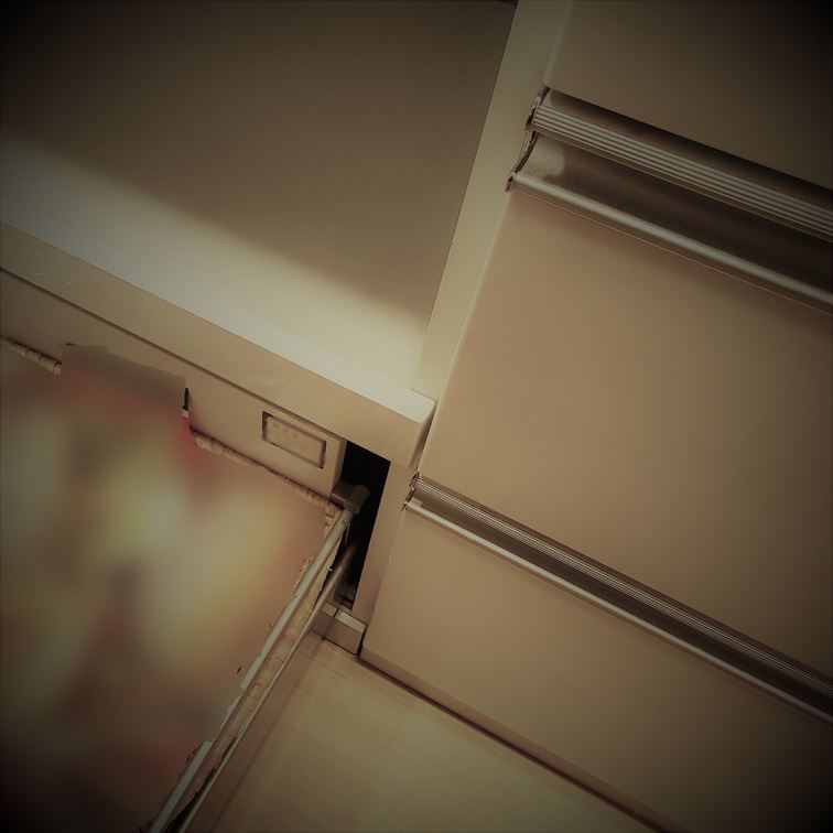 f:id:osa030:20210918210035j:plain