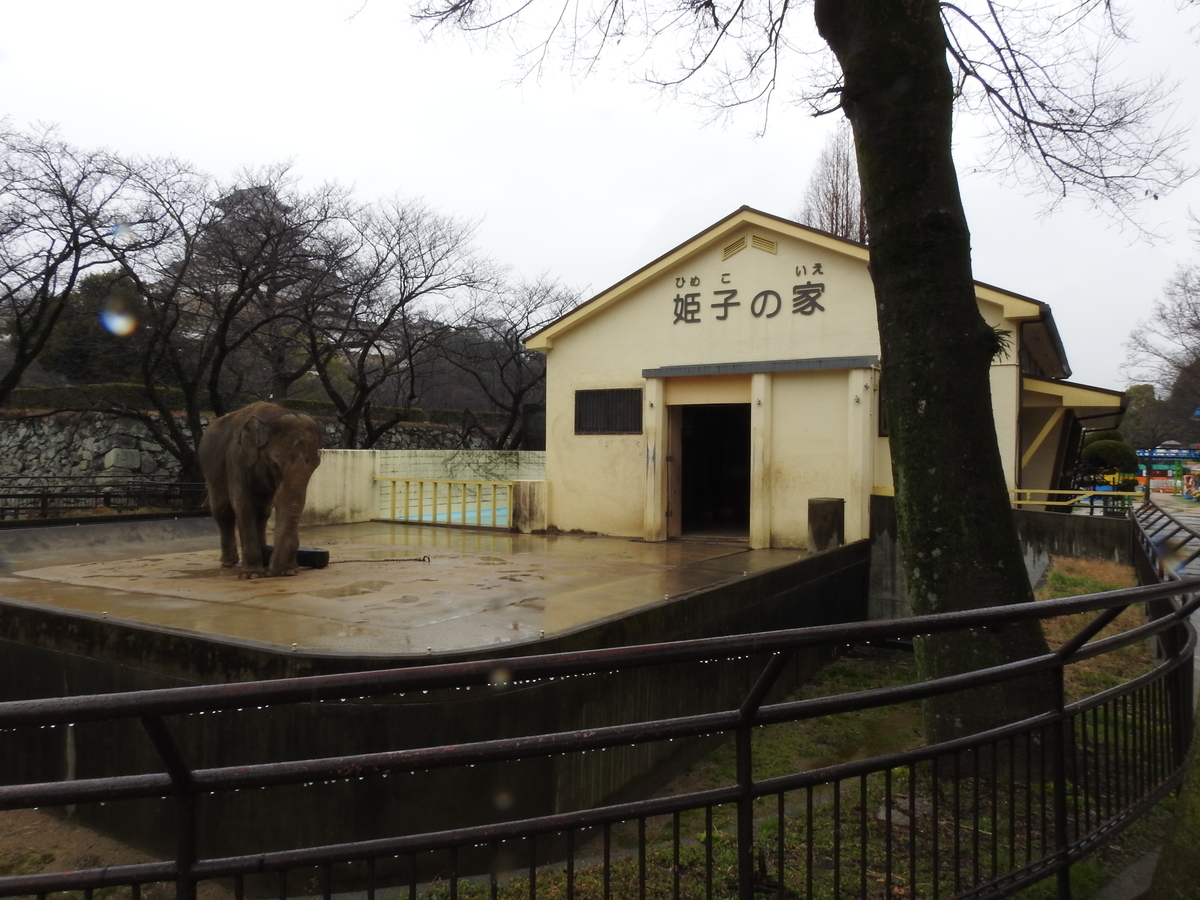 f:id:osa5635:20200304140656j:plain
