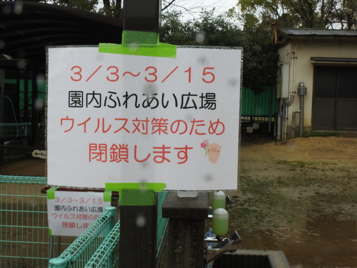 f:id:osa5635:20200304152542j:plain