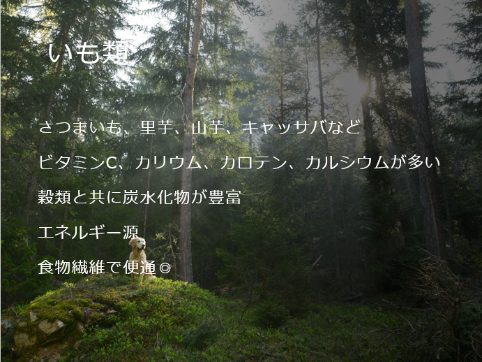 f:id:osabskpj:20200916162425p:plain