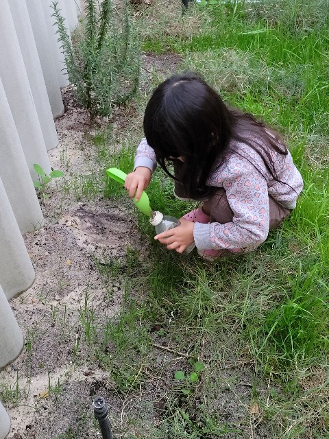 f:id:osachiaus:20210702201137j:image