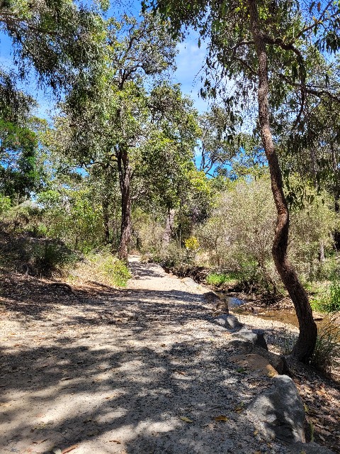 f:id:osachiaus:20211129170941j:image f:id:osachiaus:20211129170941j:image