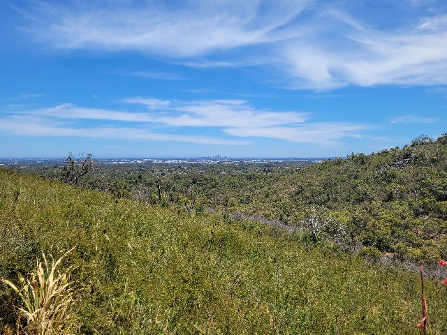 f:id:osachiaus:20211129171237j:image f:id:osachiaus:20211129171237j:image