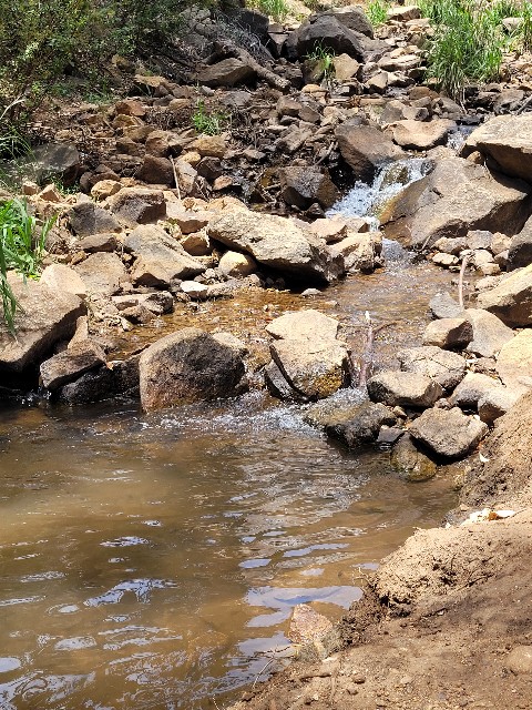 f:id:osachiaus:20211129173000j:image f:id:osachiaus:20211129173000j:image