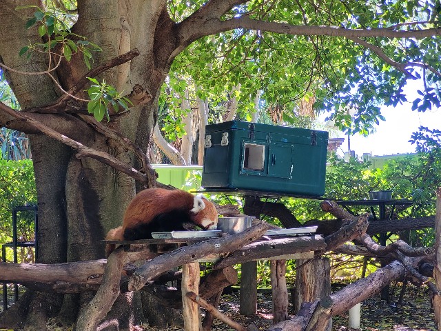 f:id:osachiaus:20220105105122j:image