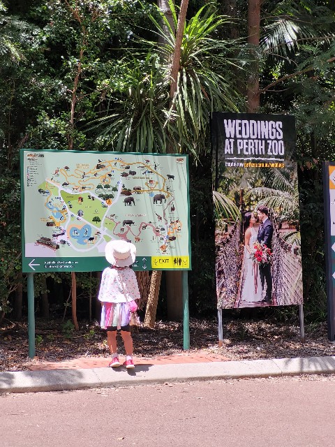 f:id:osachiaus:20220204152724j:image f:id:osachiaus:20220204152724j:image