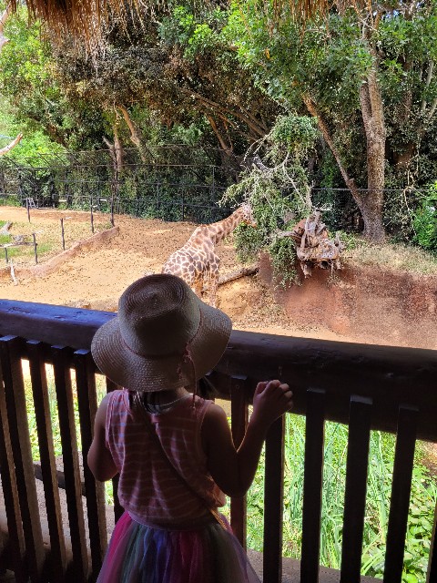 f:id:osachiaus:20220204152802j:image f:id:osachiaus:20220204152802j:image