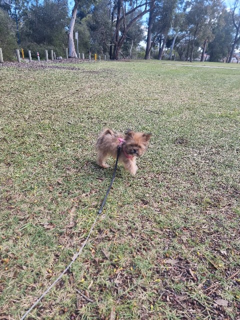 f:id:osachiaus:20220815171208j:image