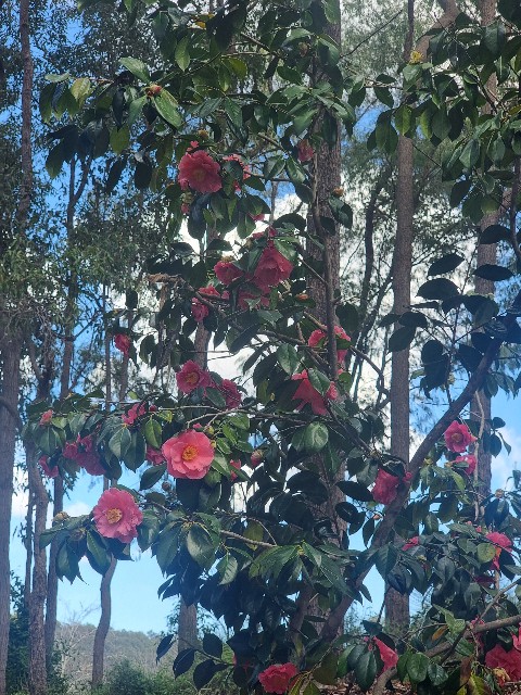 f:id:osachiaus:20220919173959j:image