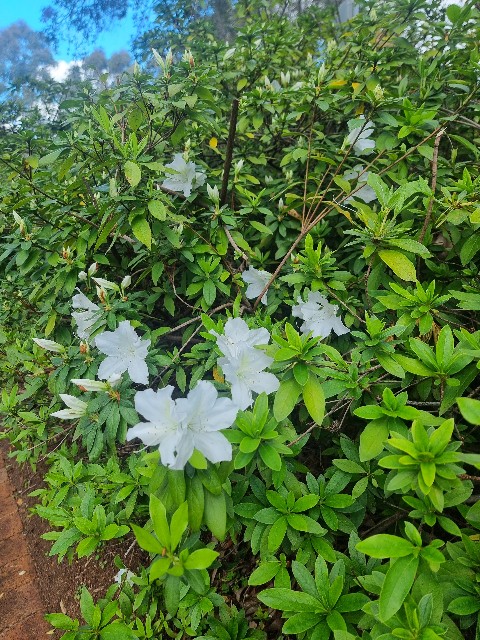 f:id:osachiaus:20220919174024j:image