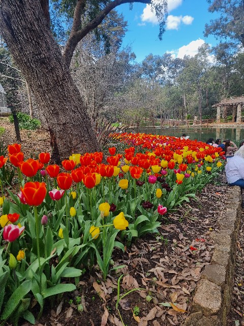 f:id:osachiaus:20220919174130j:image