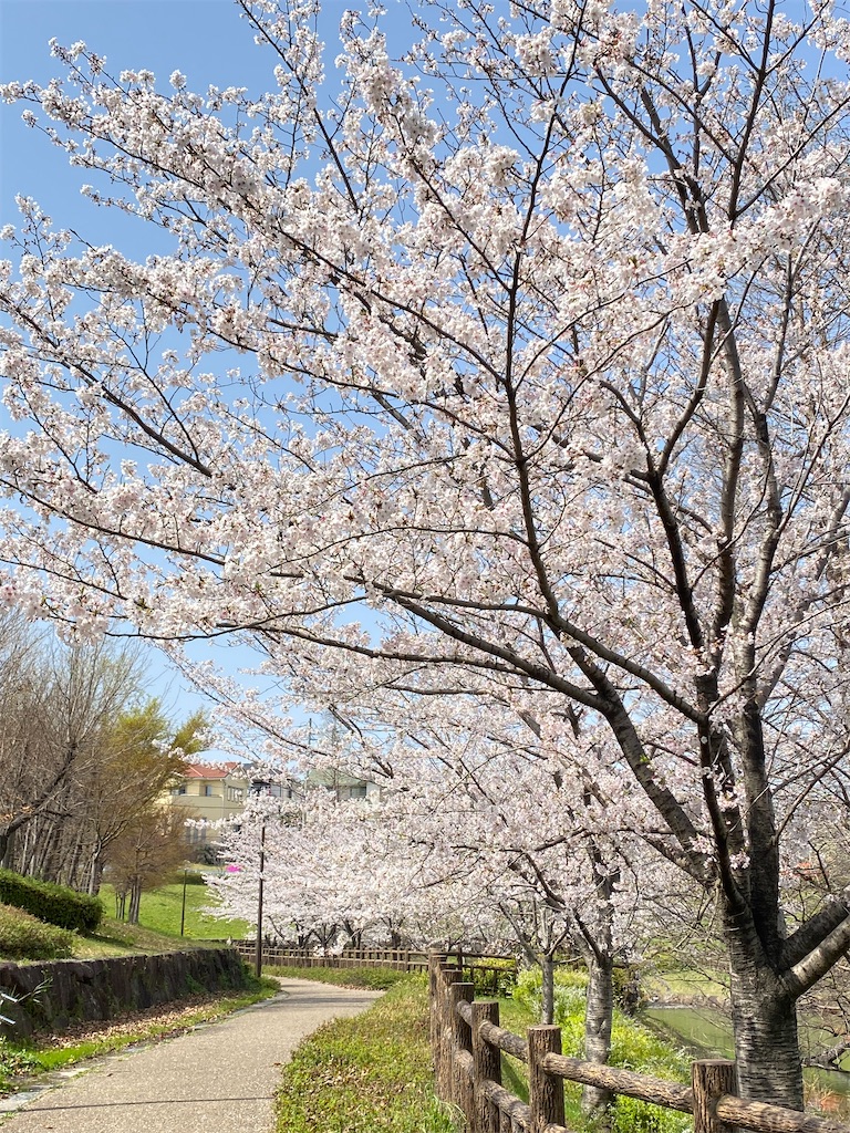 f:id:osagoto:20210329212023j:image f:id:osagoto:20210329212023j:image