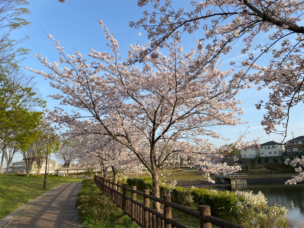 f:id:osagoto:20210331212145j:image