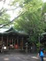 鉄砲洲神社、驟雨のあと