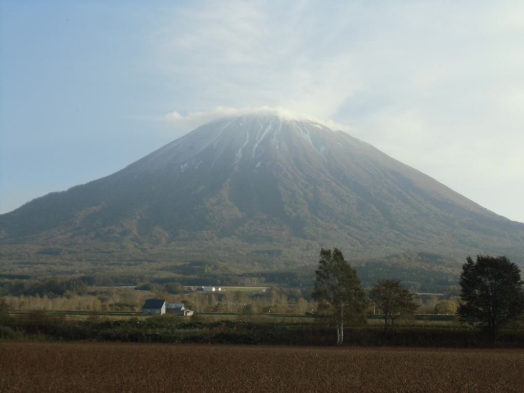 f:id:osaka-net:20161024100548j:plain f:id:osaka-net:20161024100548j:plain