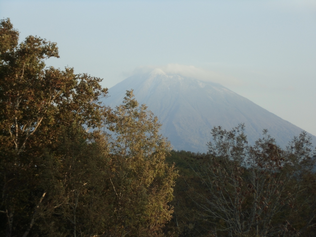 f:id:osaka-net:20161024100553j:plain