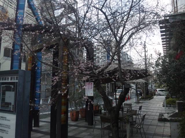 f:id:osaka-net:20170110100542j:plain