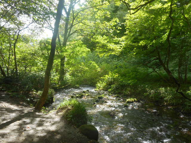f:id:osaka-net:20200928104854j:plain