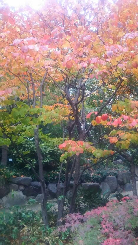 f:id:osaka-net:20201224103424p:plain