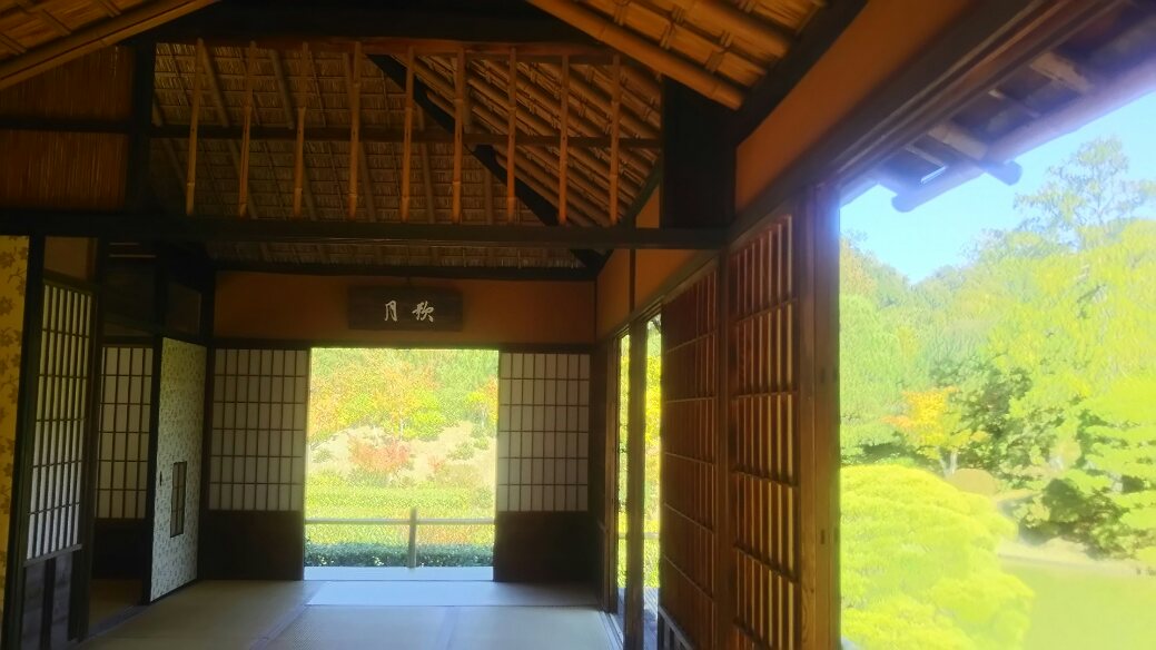 f:id:osaka-net:20211113165808j:plain