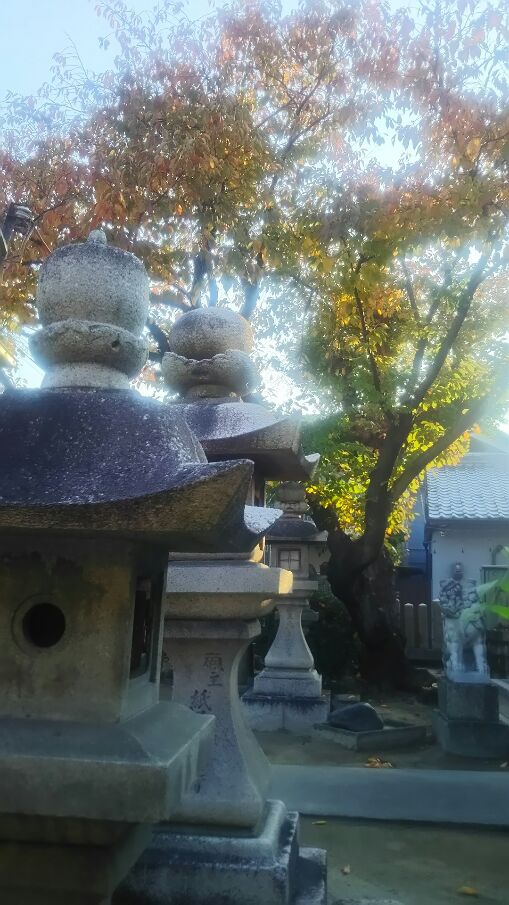 f:id:osaka-net:20211203110543j:plain