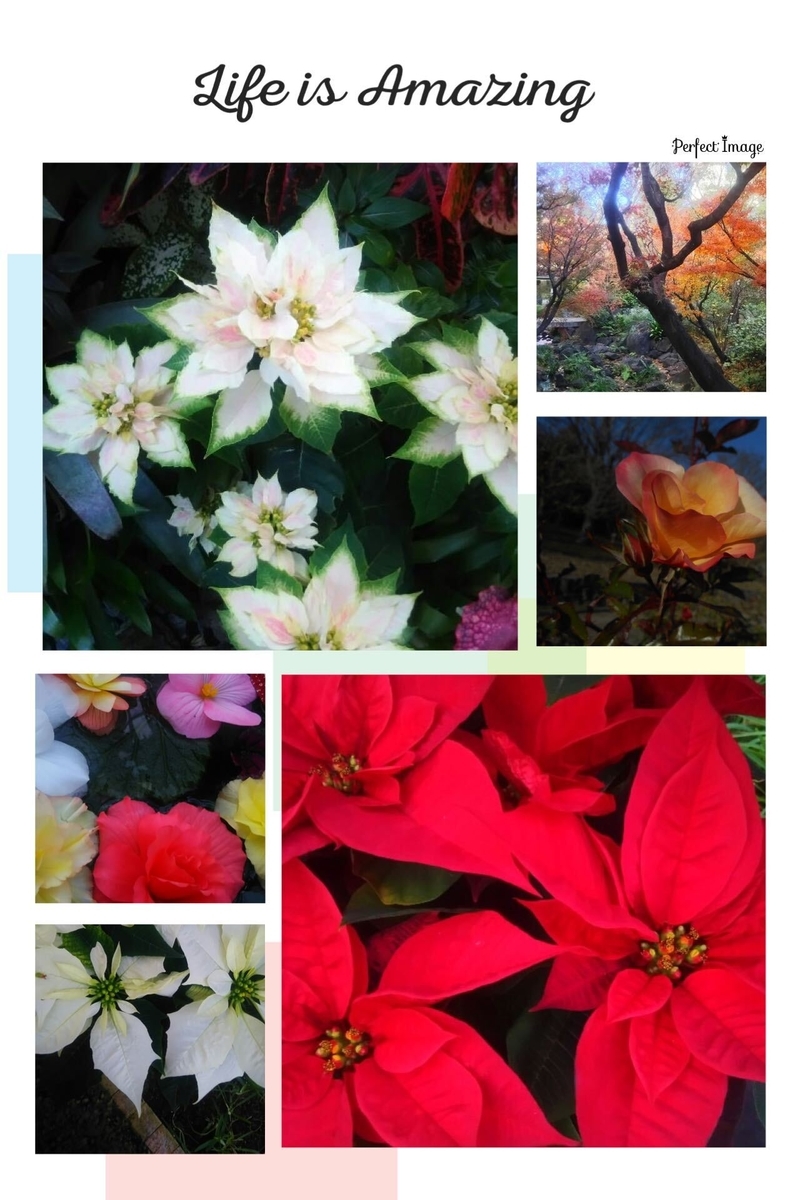 f:id:osaka-net:20211226120947j:plain