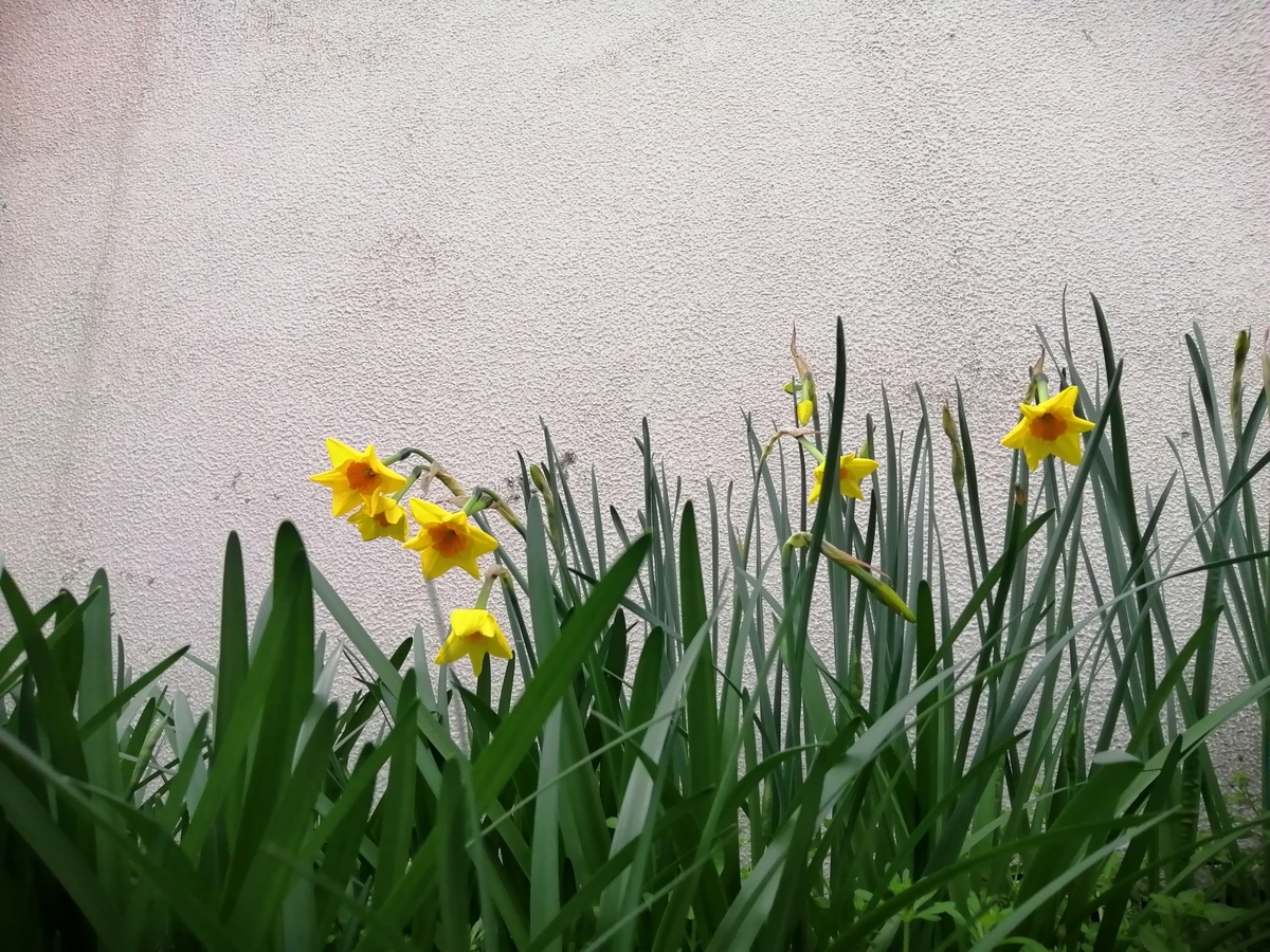f:id:osaka-paper:20220330095810j:plain
