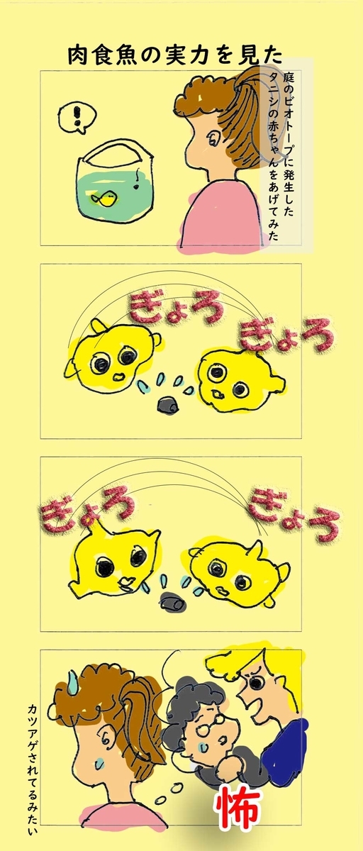 f:id:osakana-tengoku:20190921224044j:plain