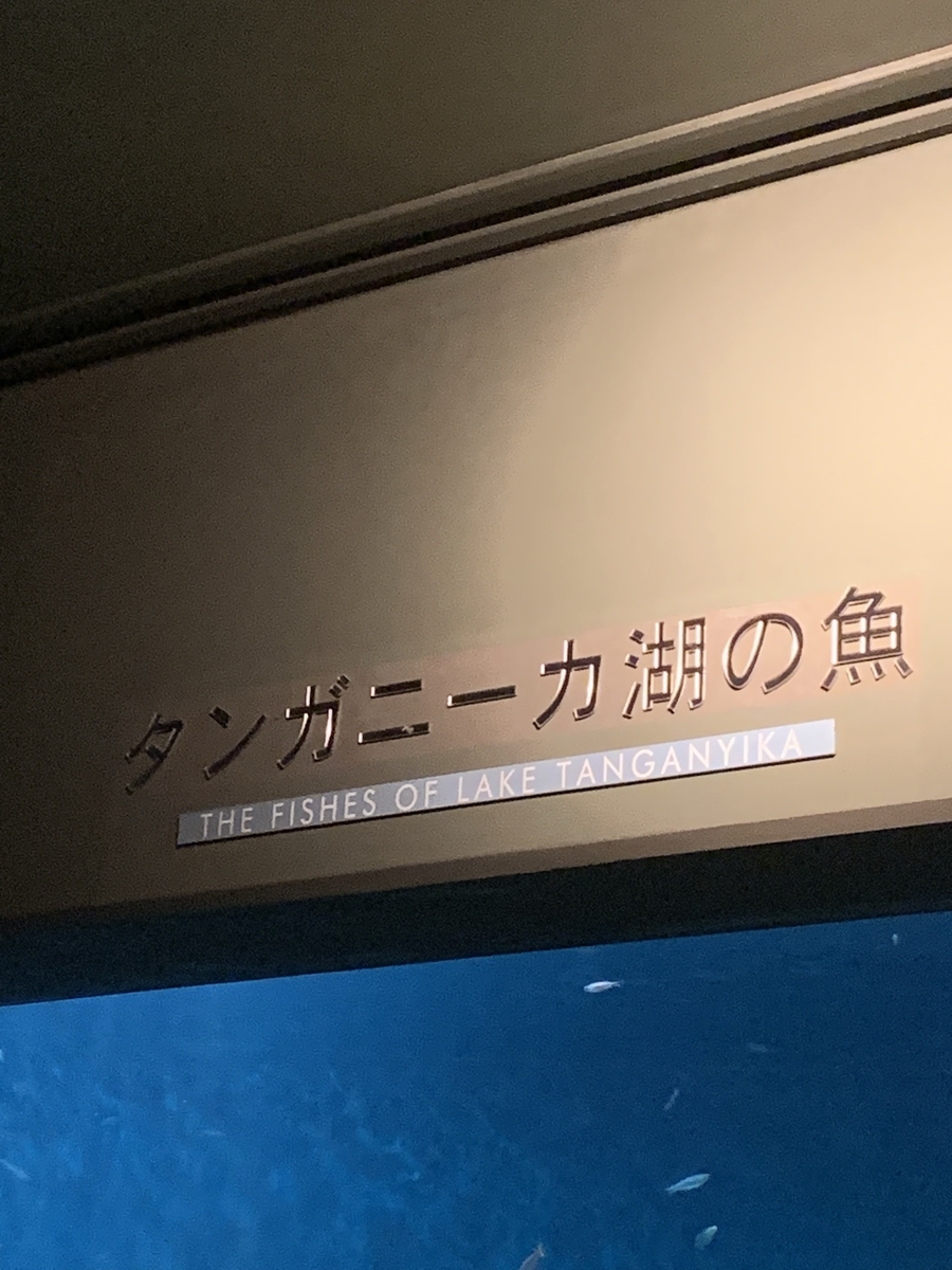 タンガニーカ湖