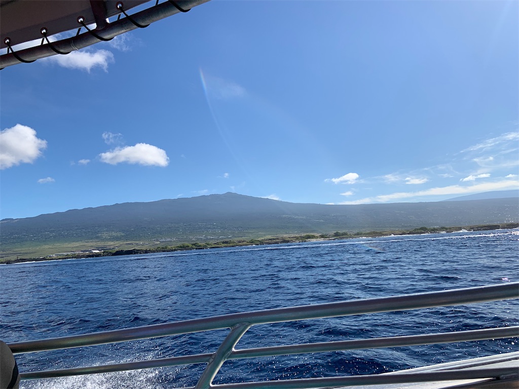 f:id:osakana_academy:20191113080738j:image f:id:osakana_academy:20191113080738j:image